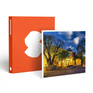 SMARTBOX - Coffret Cadeau Séjour romantique à Cannes : 2 jours en hôtel 4* avec accès à l'espace bien-être -  Séjour