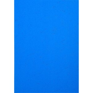 Paquet De 100 Couvertures Grain Cuir Pour Reliure A4 - Bleu - Papeteries De Clairefontaine