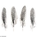 Plume motif de zèbre 20/22cm x4
