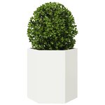 vidaXL Jardinières 2 Pièces blanc hexagone 46x40x45 cm acier