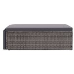 vidaXL Salon de jardin 2 Pièces avec coussins Résine tressée Gris