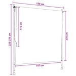 vidaXL Store Roulant Extérieur Marron 120 x 270 cm