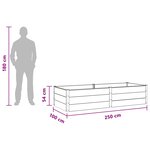 vidaXL Jardinière surélevée Marron 250 x 100 x 54 cm
