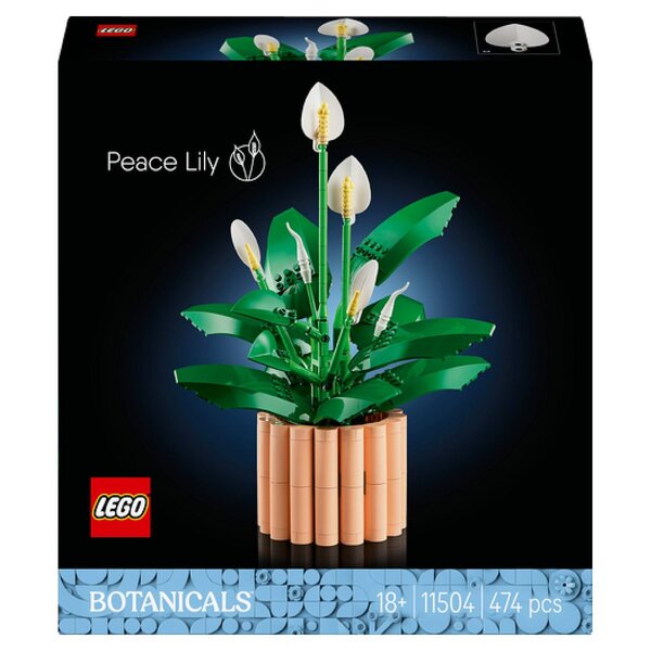 11504 Lys de la paix en pot ® Botanicals
