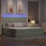 vidaXL Lit avec des lumières à LED Gris clair 200 x 200 cm Velours