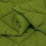 vidaXL Duvet complet toute l'année Vert 200 x 200 cm Microfibre