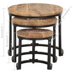 vidaXL Tables d'appoint 3 Pièces Bois de manguier brut