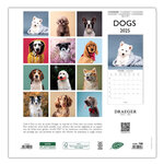 Grand Calendrier Mural 29x29 Cm - 2025 - Chiens - Draeger paris