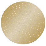 vidaXL Pomme de douche pluie Acier inoxydable 50 cm Ronde Doré