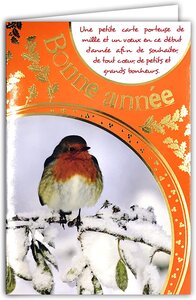 Carte bonne année meilleurs vœux avec enveloppe souhaitez beaucoup de bonheur