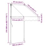 vidaXL Auvent manuel rétractable 100 cm Orange et marron