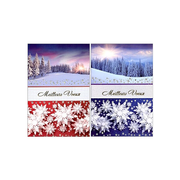 Carte De Voeux - Bonne Année Paysage Enneigé  Visuel Aléatoire*