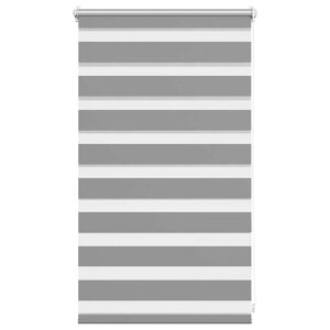 vidaXL Store 50x100 cm Gris