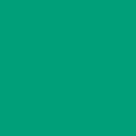 Ramette 250 Feuilles Papier 120g A4 210x297 mm Certifié FSC vert sapin TROPHÉE