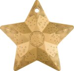 Pièce de monnaie en Argent 5 Dollars g 31.1 (1 oz) Millésime 2024 Holiday Ornament STARRY SKY