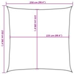 vidaXL Voile d'ombrage 160 g/m² Anthracite 2 5x2 5 m PEHD