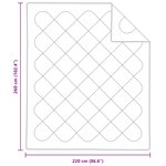 vidaXL Couette d'été avec oreiller 3 pièces Blanc Microfibre