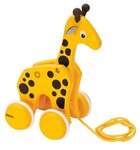 30200 Girafe a trainer
