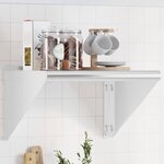 vidaXL Étagère murale 50x45x31 cm argenté acier inoxydable