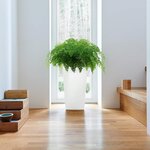 LECHUZA Jardinière Cubico 22 ALL-IN-ONE blanc brillant