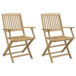 vidaXL Chaises pliables de jardin lot de 2 bois massif d'acacia