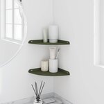 vidaXL Étagère flottante avec étagère 2 Pièces Vert olive 24 x 24 x 2 cm