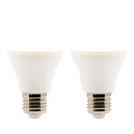 Lot de 2 ampoules led standard  6w e27 470lm 2700k (blanc chaud)