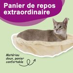 vidaXL Arbre à chat avec griffoirs en sisal Crème 155 cm