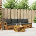 vidaXL Ensemble de canapés d'extérieur 5 Pièces Naturel et Anthracite