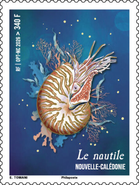 Timbre Nouvelle Calédonie - Le nautile