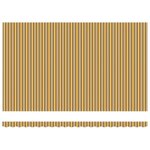 vidaXL Auvent Rétractable Multicolore 500 × 300 cm Tissu Métal