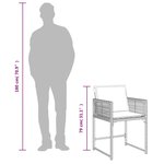 vidaXL Chaises de jardin lot de 4 avec coussins noir résine tressée
