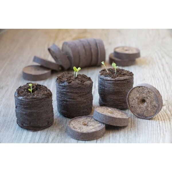 Lot de 48 pastilles de tourbe 4 cm diametre