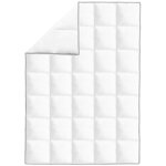vidaXL Couette en duvet d'hiver 2 Pièces 155 x 220 cm