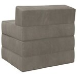 vidaXL Canapé-lit pliable Gris clair 200 x 70 x 15 cm Velours