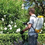 Hozelock pulvérisateur à pression à sac à dos plus 16 l