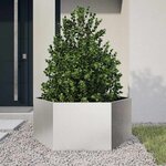 vidaXL Jardinière hexagone 104x90x45 cm acier inoxydable