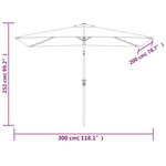 Vidaxl parasol avec mât en métal 300 x 200 cm anthracite