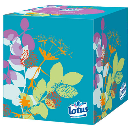 Lotus Boîte Cubique Mouchoirs (lot de 12)