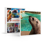 Journée au parc marineland d'antibes pour 2 adultes et 1 enfant - smartbox - coffret cadeau sport & aventure