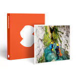 SMARTBOX - Coffret Cadeau Sensations canyoning -  Sport & Aventure
