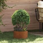 vidaXL Pots de jardin 5 Pièces Marron 30 x 30 x 20 cm Acier cuivré