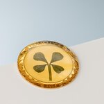 Pièce de monnaie en Or 1 Dollar g 1 Millésime 2025 Four Leaf Clover OUNCE OF LUCK