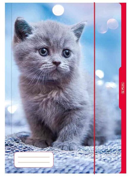 Chemise format A3 Carton ultra brillant Motif Chat HERLITZ