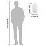 vidaXL Miroir 40x20 cm Verre