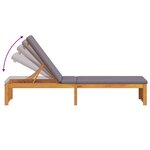 vidaXL Transat 1-personne Marron 200 x 55 x 94cm Bois d'acacia massif