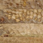 vidaXL Table basse 80x50x40 cm bois de manguier massif