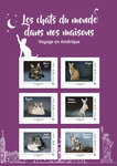 Collector 6 timbres - Chats Amériques - Lettre verte