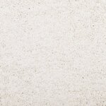 vidaXL Tapis shaggy PAMPLONA poils longs moderne crème 60x110 cm