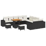 vidaXL Ensemble de canapé de jardin 13 Pièces Noir polyrotin